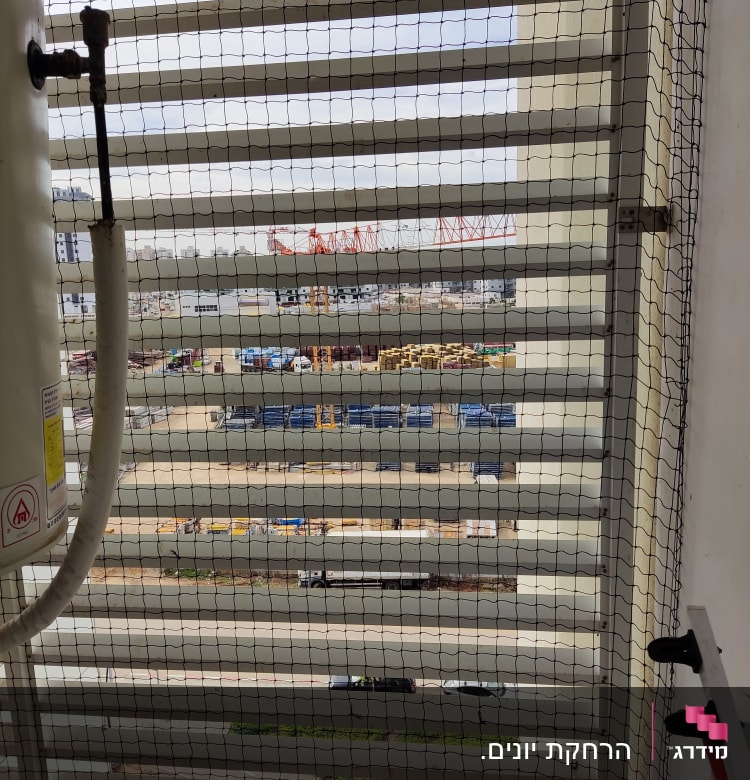 הרחקת יונים.